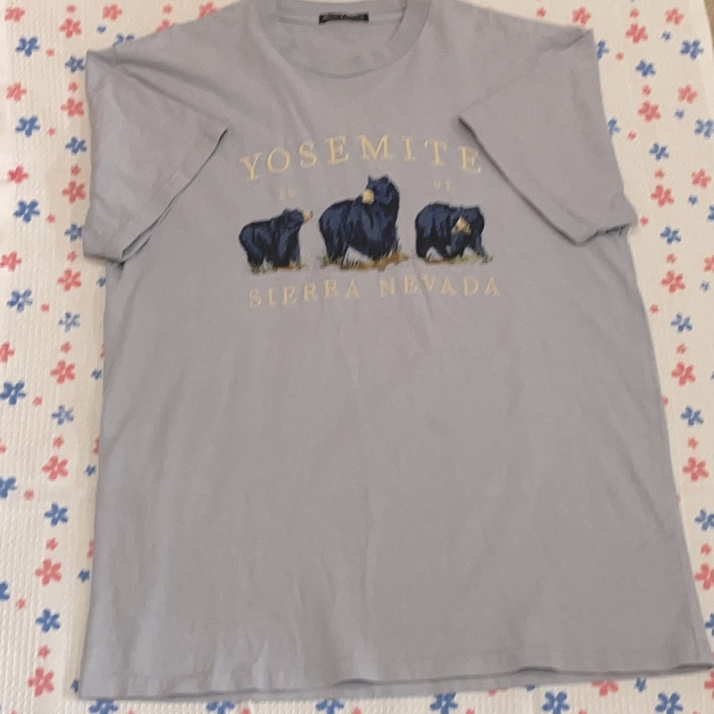 brandy melville yosemite oversized graphic tee